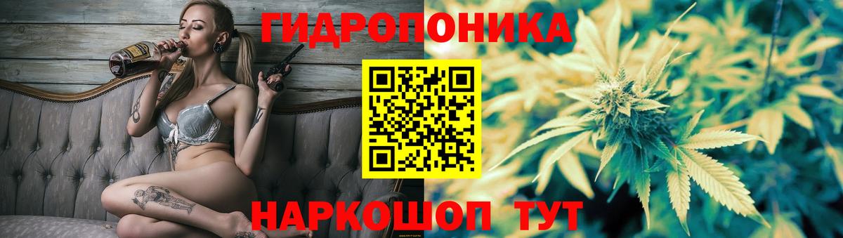 Бошки Шишки гибрид  Марихуана конопля  Алейск  Бошки марихуана марихуана  Вход с VPN 